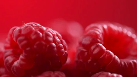 Raspberry fresh berries closeup, ripe fresh organic Raspberries macro view Video stock 281548355