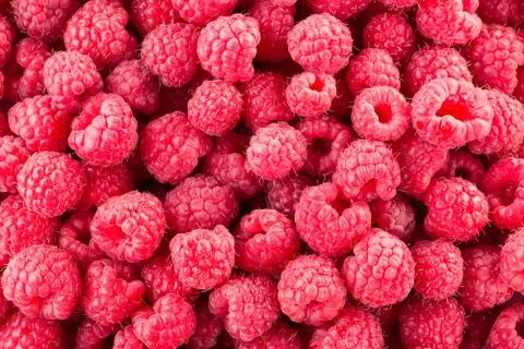 Raspberry. Fresh organic berries. Background from fresh raspberrys. Foto stock