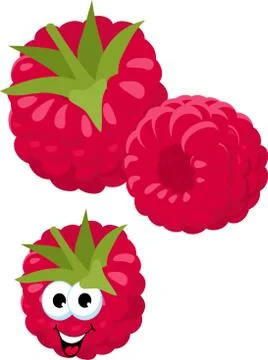 Raspberry. Fresh raspberry berries isolated on white background. Funny cartoon Stock Illustration
