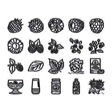 Raspberry fruit and plant product icons set Stock Illustration