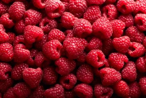 Raspberry fruit background Foto stock