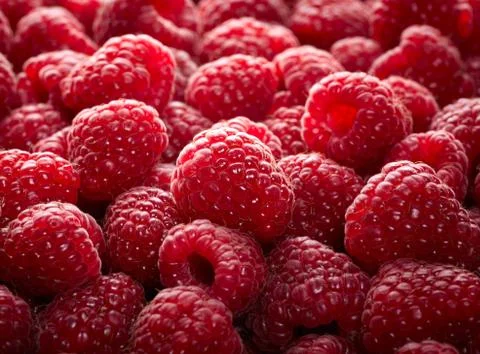Raspberry fruit background Foto stock