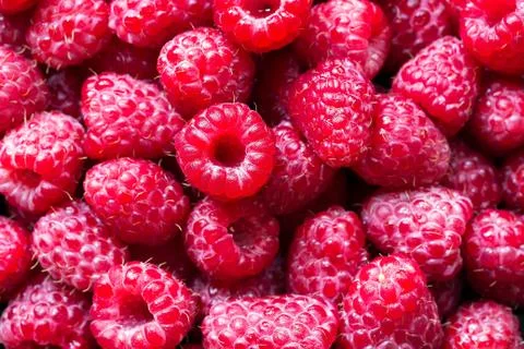 Raspberry fruit background Stock Photos