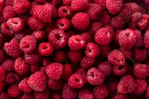 Raspberry fruit background Stock Photos