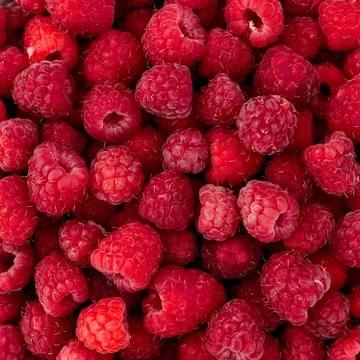 Raspberry fruit background Foto stock