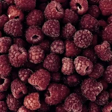 Raspberry fruit background Foto stock