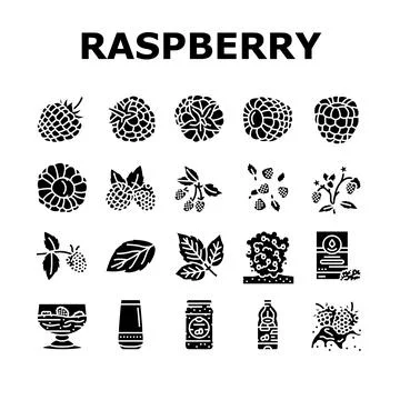 Raspberry fruit berry red food icons set vector Illustrazione stock