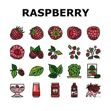 Raspberry fruit berry red food icons set vector Illustrazione stock