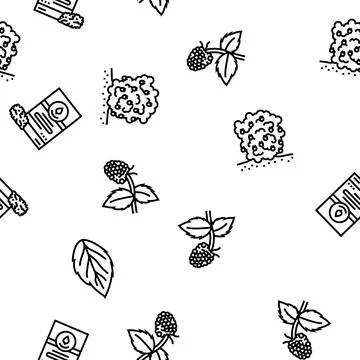 Raspberry fruit berry red food vector seamless pattern Illustrazione stock