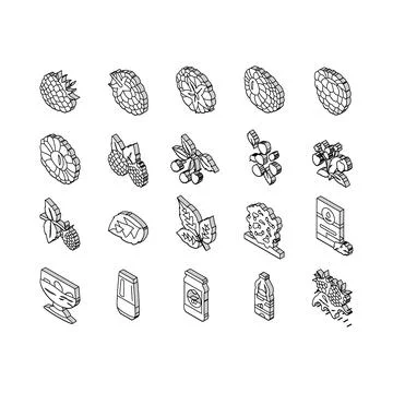 Raspberry fruit berry red food isometric icons set vector Stock Illustration