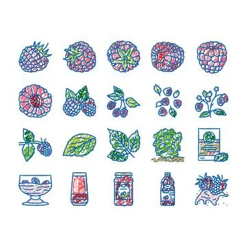 Raspberry fruit berry red food icons hand drawn Stock Illustration