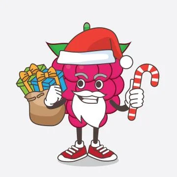 Raspberry Fruit cartoon mascot character in Santa costume with candy Illustrazione stock