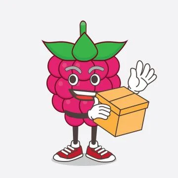 Raspberry Fruit cartoon mascot character holding a box Stock Illustration