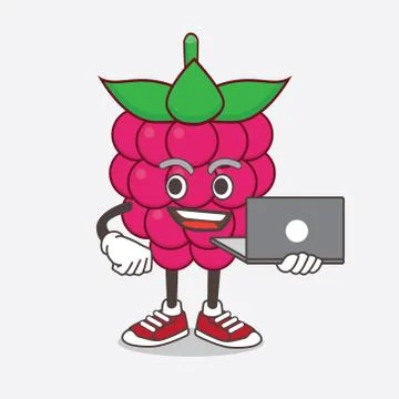 Raspberry Fruit cartoon mascot character working with laptop Stock Illustration