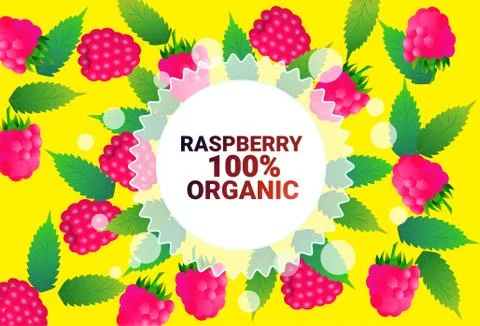 Raspberry fruit colorful circle copy space organic over fresh fruits pattern Stock Illustration
