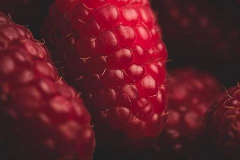 Raspberry fruit details, macro Stock Photos
