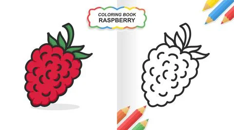 Raspberry fruit hand drawn coloring book for learning. Flat color ready to pr Stock Illustration