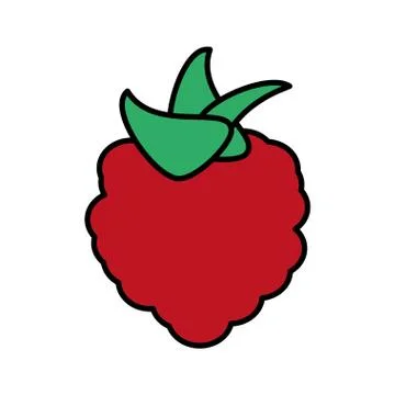 Brambleberry Raspberry Or Dewberry Isolated Berry Stock