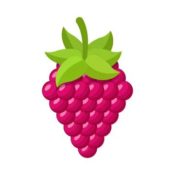 Raspberry fruit icon in flat style. Raspberries berry vector illustration o.. Stock Illustration