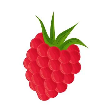 Raspberry fruit icon Illustrazione stock