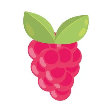 Raspberry fruit icon 스톡 일러스트