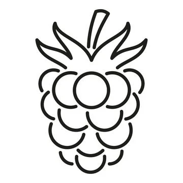 Raspberry fruit icon line art vector drawing イラスト素材