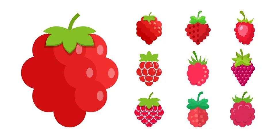 Raspberry fruit icon set collection in flat style. Raspberries berry vector.. Illustrazione stock