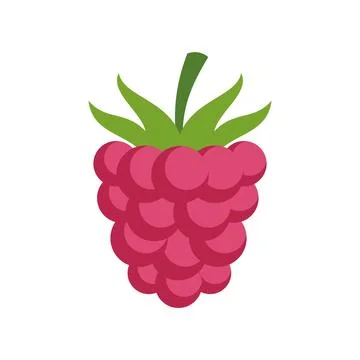 Raspberry fruit icon showcasing healthy sweet berry Stock Illustration