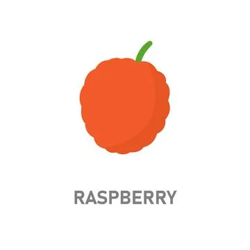 Raspberry fruit illustration. Bright red berry icon isolated on white background 스톡 일러스트