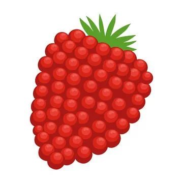 Raspberry fruit isolated icon style Stock Illustration