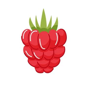 Raspberry fruit with leaf in flat style isolated on a white background. Stock Illustration