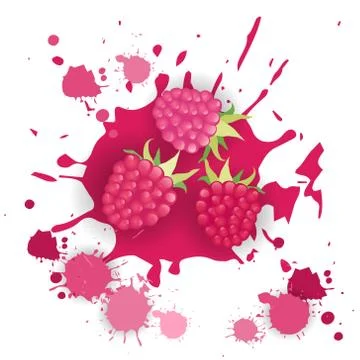Raspberry Fruit Logo Watercolor Splash Design Fresh Natural Food イラスト素材