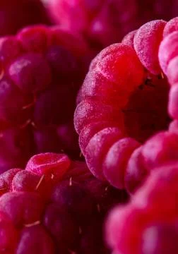Raspberry fruit macro photography Foto stock