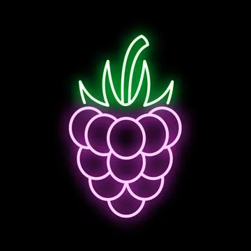 Raspberry fruit neon glowing sign on black background Stock Illustration