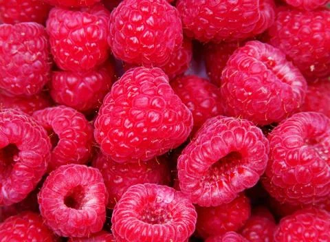 Raspberry Fruit Stock Photos