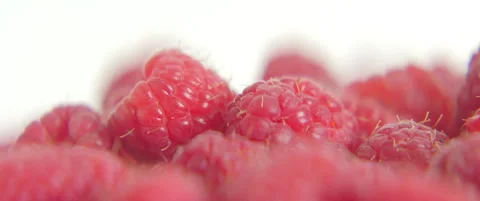 Raspberry fruit picked and fresh slow sliding 5.7K scope video Stock Footage 311397553