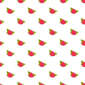 Raspberry fruit seamless pattern on white background 库存插图