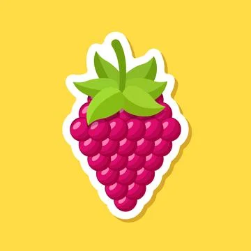 Raspberry fruit sticker icon in flat style. Raspberries berry vector illust.. Illustrazione stock