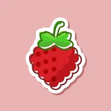 Raspberry fruit sticker icon in flat style. Raspberries berry vector illust.. Stockillustratie