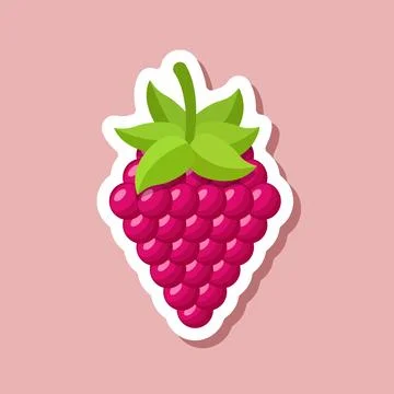 Raspberry fruit sticker icon in flat style. Raspberries berry vector illust.. Stockillustratie