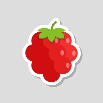 Raspberry fruit sticker icon in flat style. Raspberries berry vector illust.. Stockillustratie