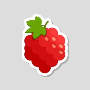 Raspberry fruit sticker icon in flat style. Raspberries berry vector illust.. Stock Illustration