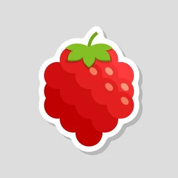Raspberry fruit sticker icon in flat style. Raspberries berry vector illust.. Stockillustratie