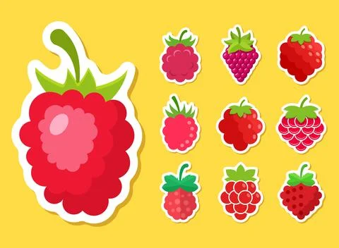 Raspberry fruit sticker icon set collection in flat style. Raspberries berr.. Stockillustratie