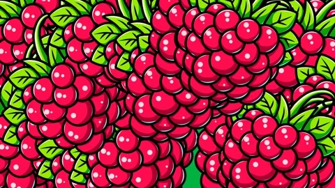 Raspberry Fruit Transition on Green Screen – Closing and Opening Animation Stock Footage 320204344