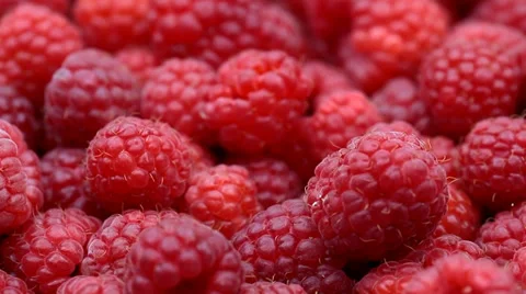 Raspberry fruits background Stock Footage 35520630