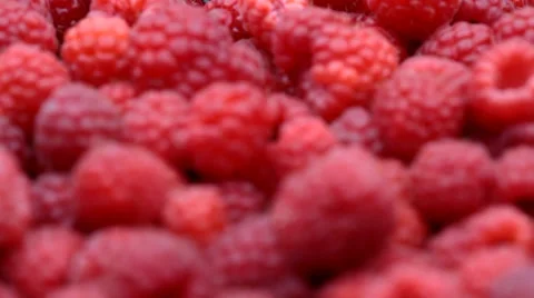 Raspberry fruits background Stock Footage 35520804