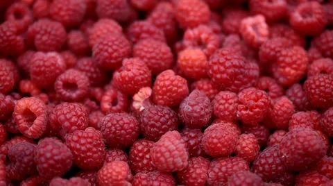 Raspberry fruits background Stock Footage 35520891
