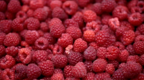 Raspberry fruits background Stock-Footage 35521516