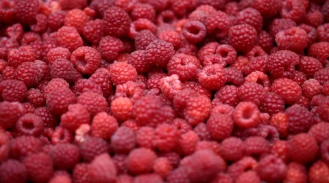 Raspberry fruits background Video stock 35521579